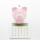 Savings Plan Calculator
