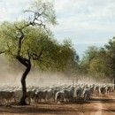 Cutting red tape for farmers and agribusiness