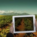 Farmers looking to increase digital reach
