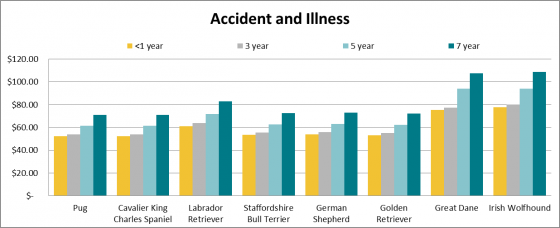 Dog insurance and price of accident and illness cover