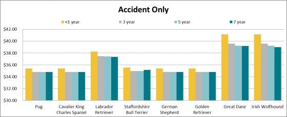 Dog insurance and price of accident only cover