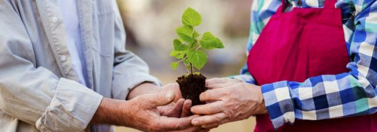 benefits of an smsf