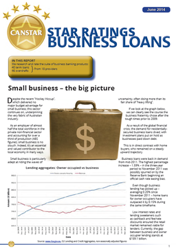 Business-Loans-Report