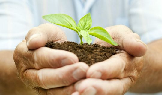 Managed fund performance-