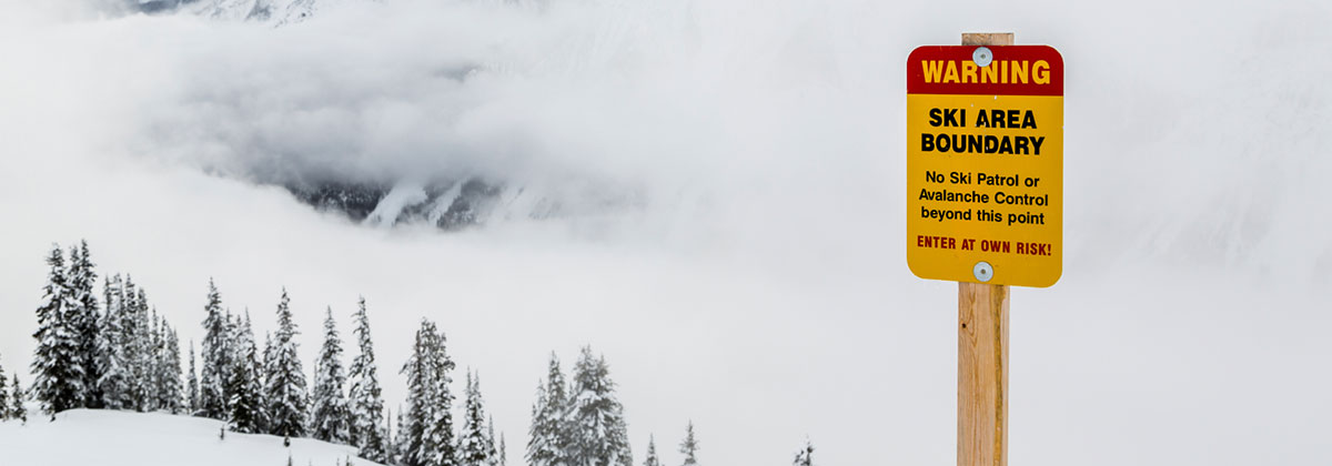 article cover photo