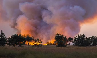 ICA: SA Bushfires Declared a "Catastrophe"