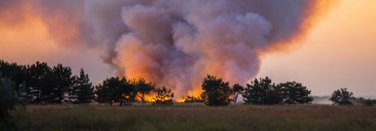 South Australian Bushfires Declared a Catastrophe