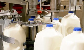 Aussie milk production could "almost double"