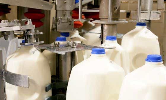 Aussie milk production could ‘almost double’