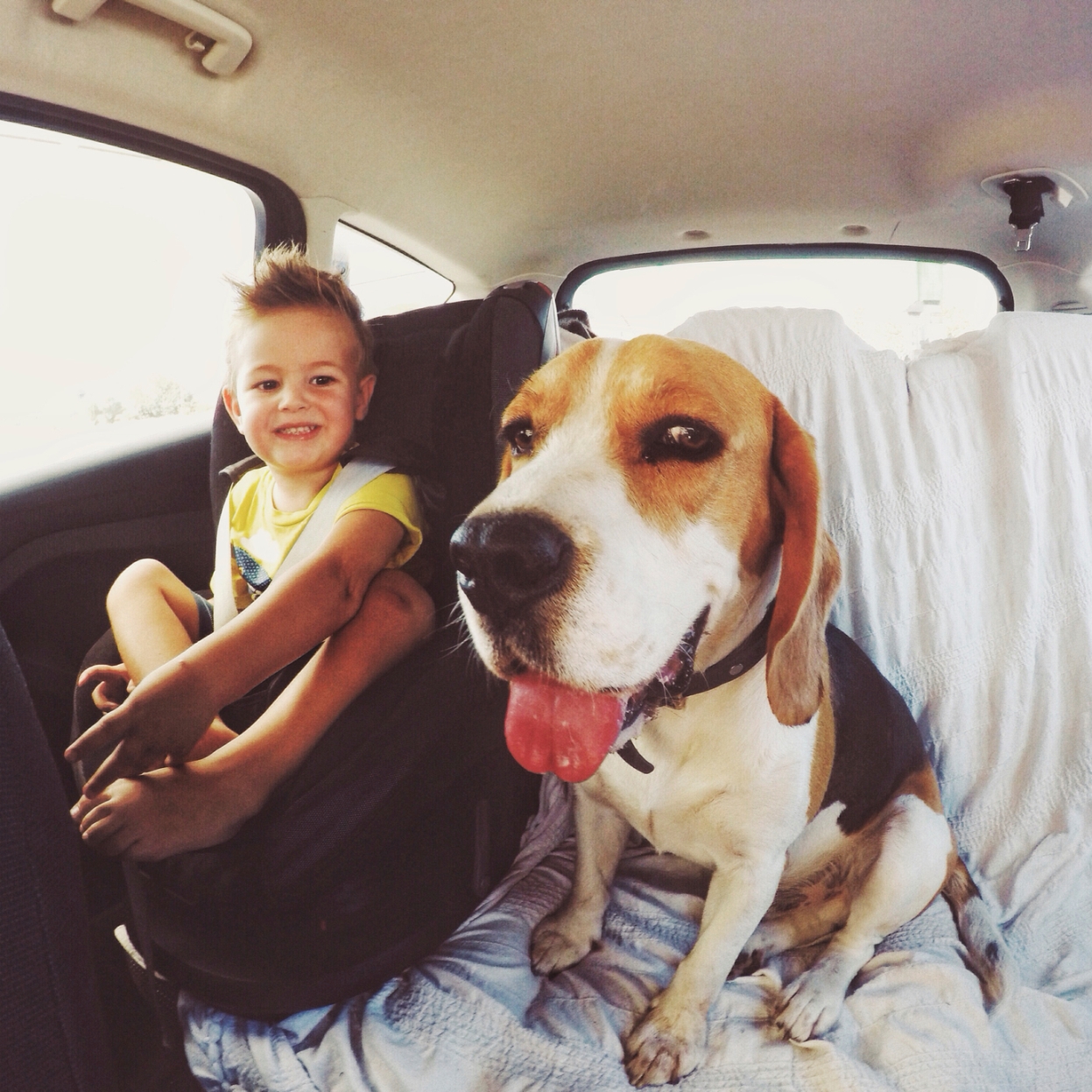 Don&#8217;t leave your kid or your dog in the car
