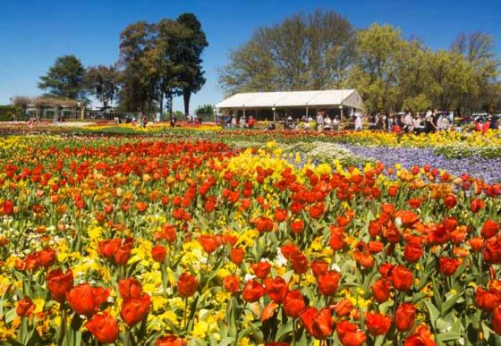 Floriade, Canberra