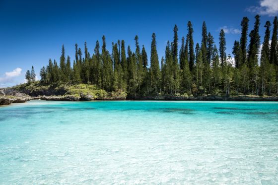 Tropical Beach Paradise New Caledonia