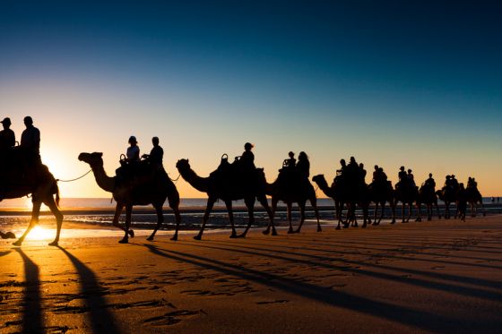 Holiday Activities Camel Safari