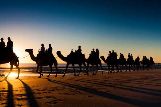 Holiday Activities Camel Safari