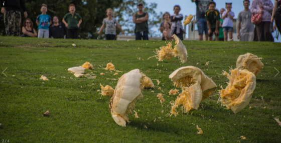 Hamilton Gardens - The Great Pumpkin Carnival