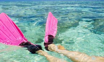 Five Australian experiences Chinese tourists should have