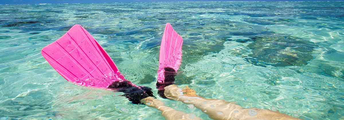 Five-Australian-experiences-Chinese-tourists-should-have