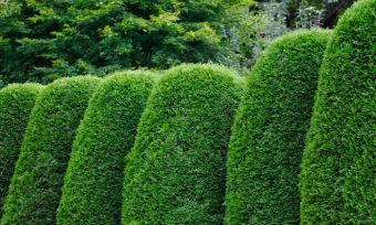 What is a hedge fund?