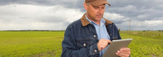 Queensland Farmers' Federation develops new website to help farmers navigate disaster support