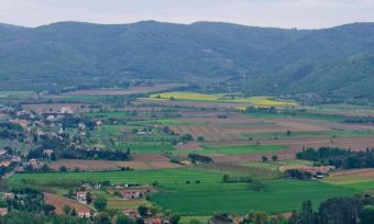 Farming in 2050: storing carbon could help meet Australia's climate goals