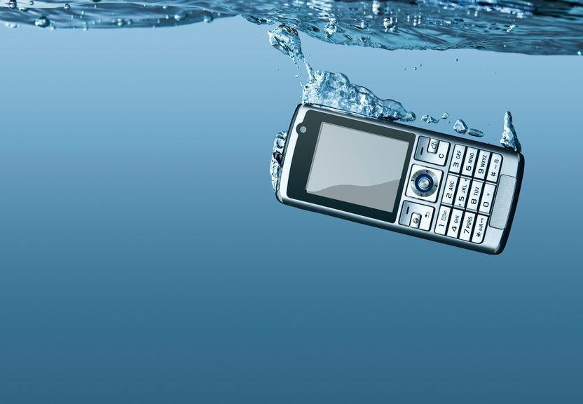 Dropped Your Phone in Water? What You Can Do Canstar