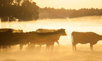 ANZ wins Canstar Bank of the Year - Agribusiness