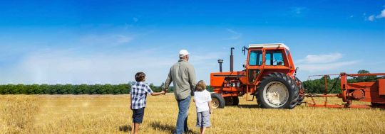 What you should be looking for in a financial institution for your agribusiness. CANSTAR explains how we rate agribusiness banks and lenders.