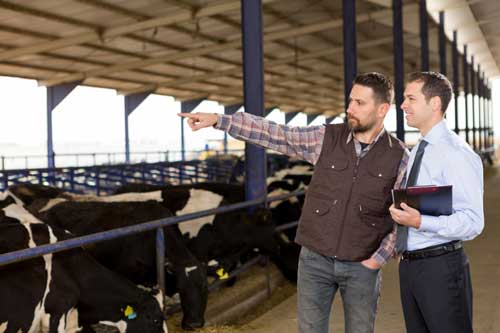 Agribusiness services