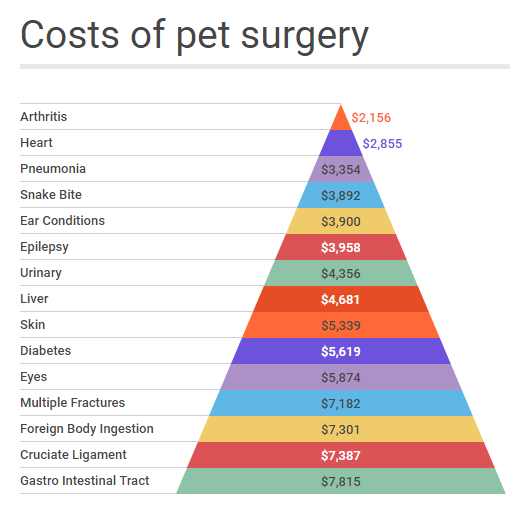 Costs of pet surgery