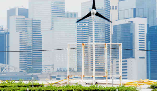 Sustainable Travel How to leave a smaller footprint