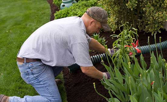 About WorkCover Queensland Household Workers Insurance policy