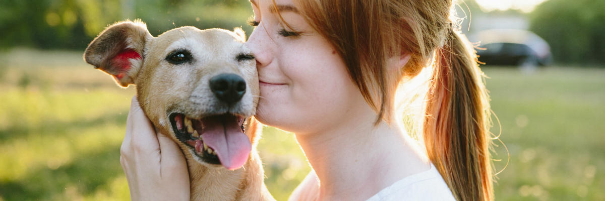 What to know about paralysis ticks