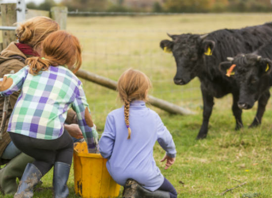 Kid friendly chore