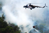 National aerial fire-fighting capability (NAFC)