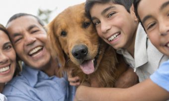 How To Renew Your Pet Insurance Policy