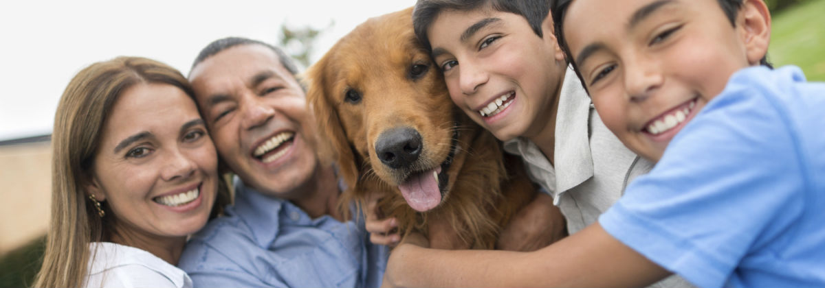 Renewing pet insurance