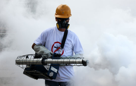 zika brazil
