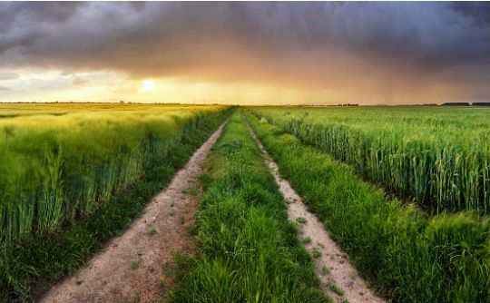 Aussie Farmers Warned Of Two Major Threats This Winter | Canstar