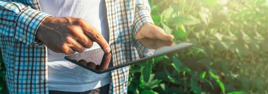 agribusiness trends and insights