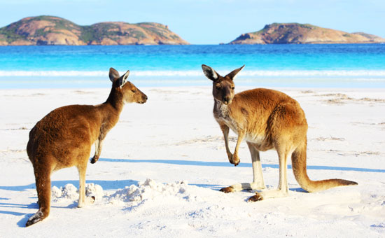 International-Visitors-To-Australia-Spend-Big-In-2017