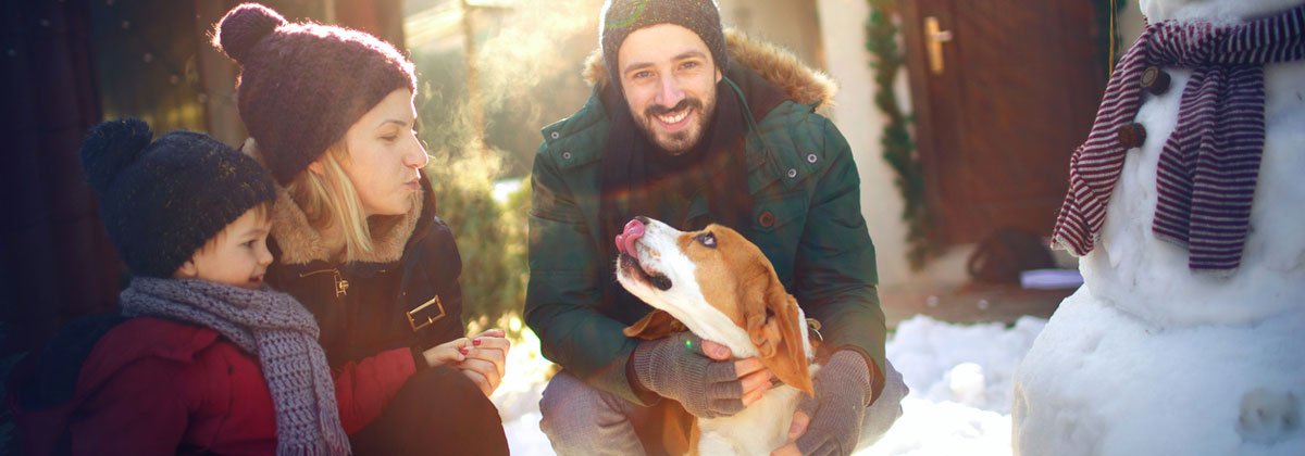 Preventing-Burns-To-Your-Pets