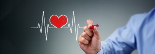 canstars top health insurance providers