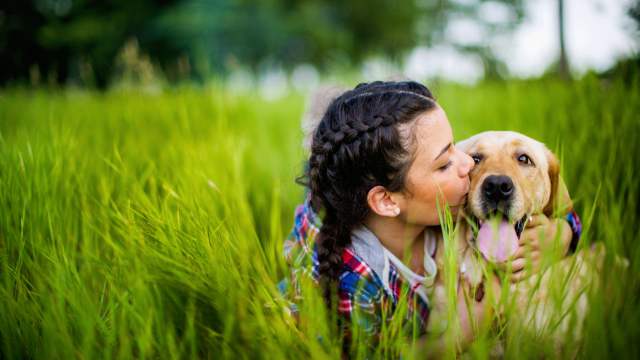 Pet Baiting