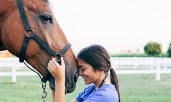 Horse Insurance In Australia