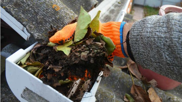 cleaning gutters roof