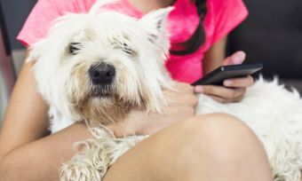 5 Pet Apps You Need On Your Phone