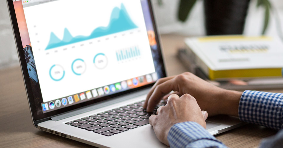 Who Uses Accounting Software 