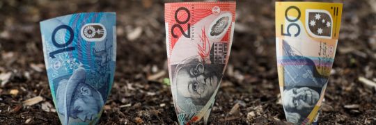 Various Australian dollar banknotes planted in the ground