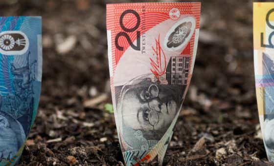 Various Australian dollar banknotes planted in the ground