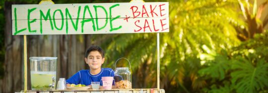 Lemonade Stand Side Hustle